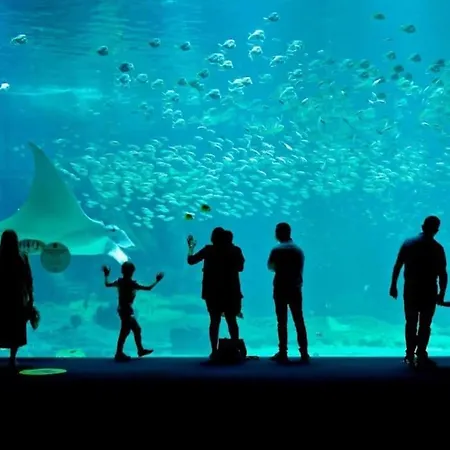 Gj Escapes - Le De Notre-dame - Au Coeur De La Vieille Apartment